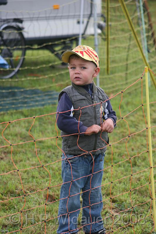 jubil.lusten. 033.jpg